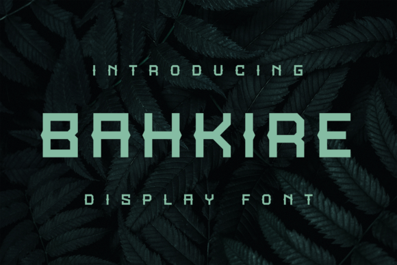 Bahkire: The Creative Font That Elevates Every Campaign Visual