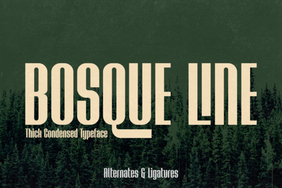 Bosque Line: The Modern Display Typeface for Scroll-Stopping Visuals