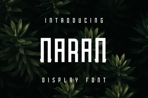 Naran: A Unique Display Font for Bold Brand Identities