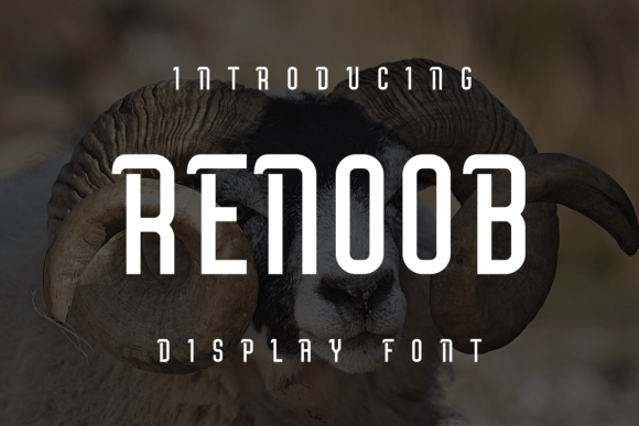 Renoob: The Display Typeface That Elevates Campaign Visuals
